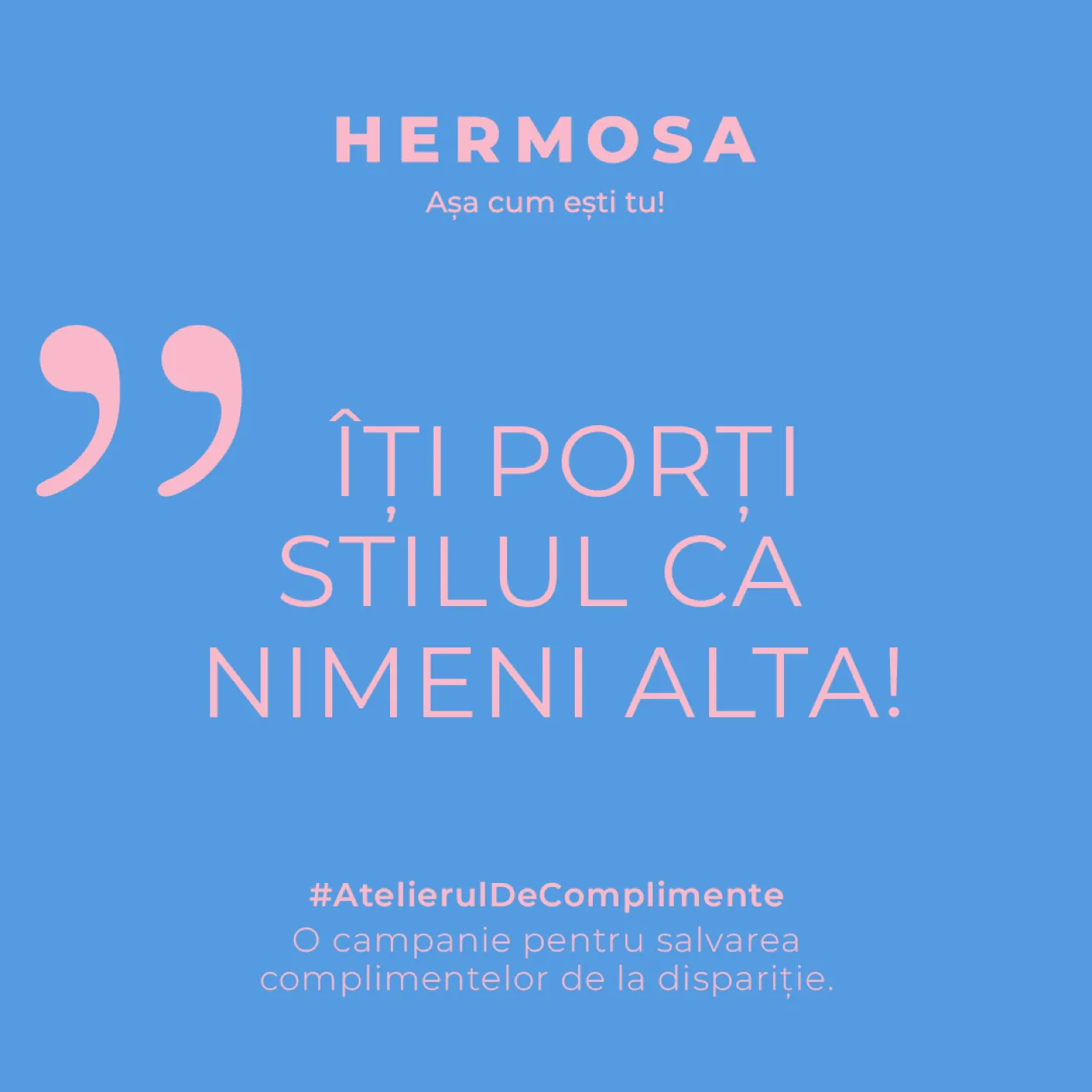 Hermosa, campanie, 2024, de Cristina Cazacu