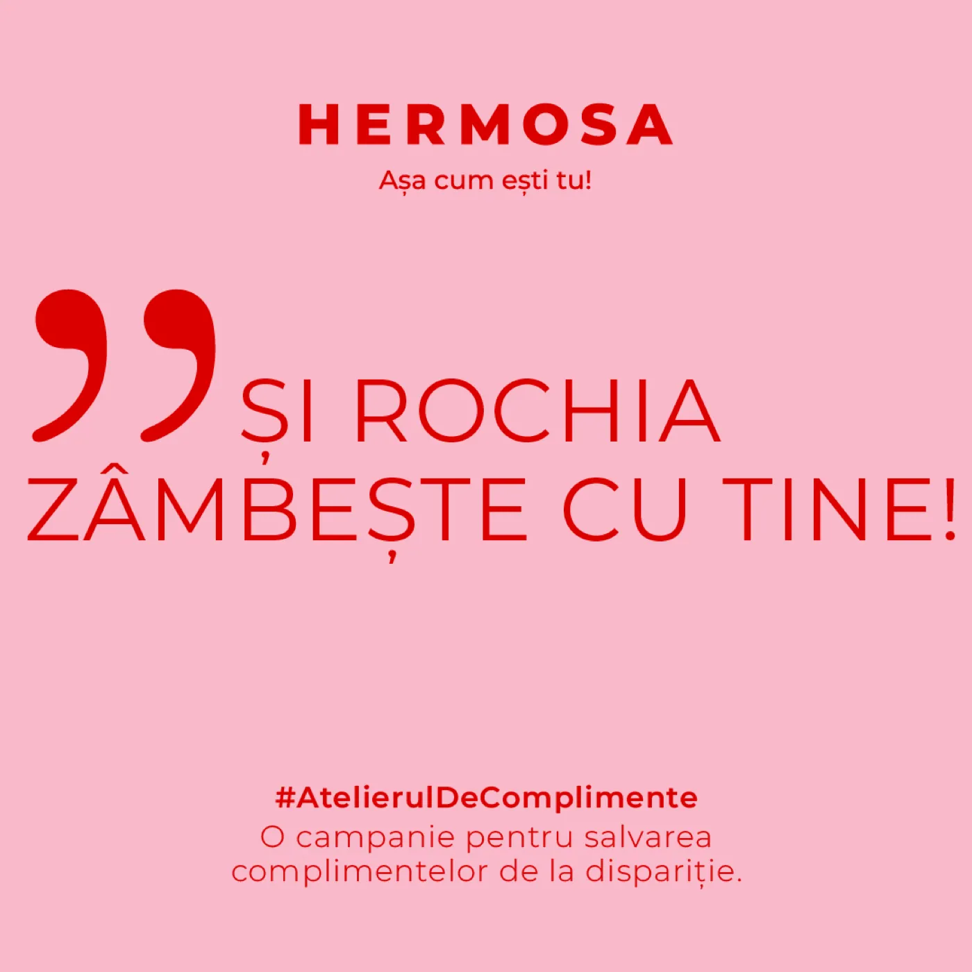 Hermosa (4), campanie, 2024, de Cristina Cazacu